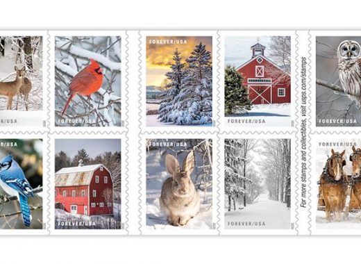 stamps walmart