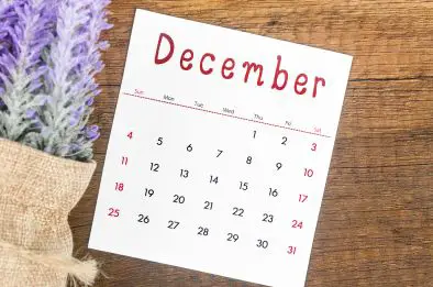 20 December Global Holidays
