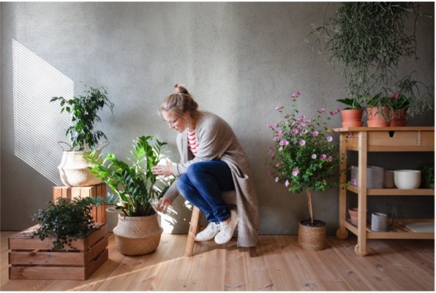 Most Popular Benefits of Indoor Plants